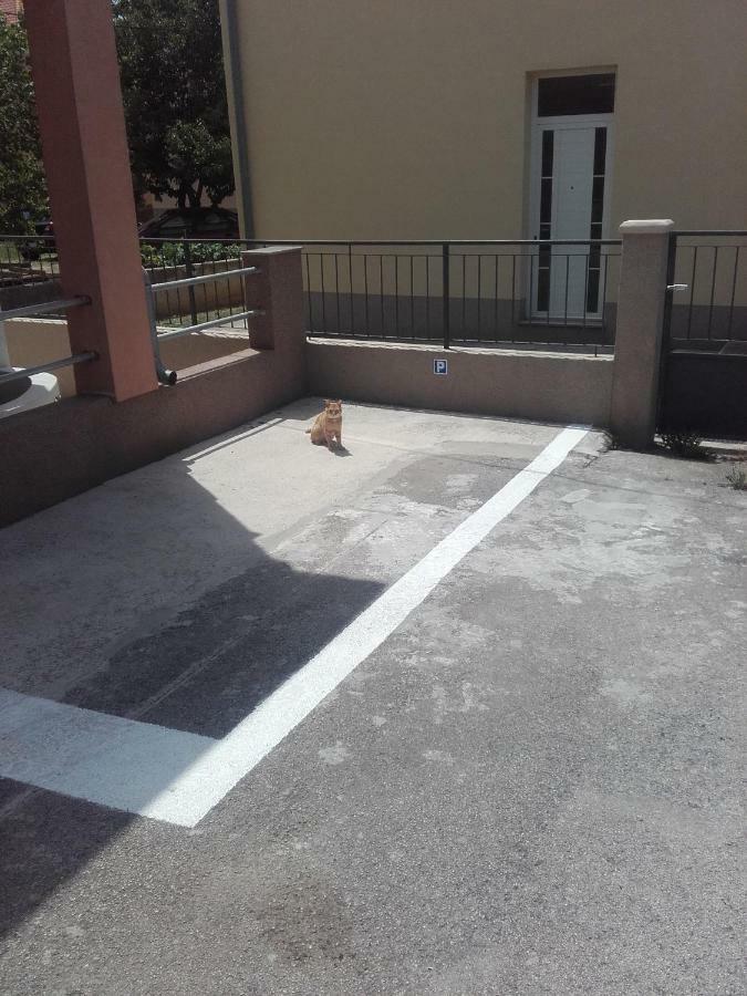 Maremy Apartment ซาดาร์ ภายนอก รูปภาพ